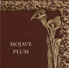 Mojave Plum Memorial Color