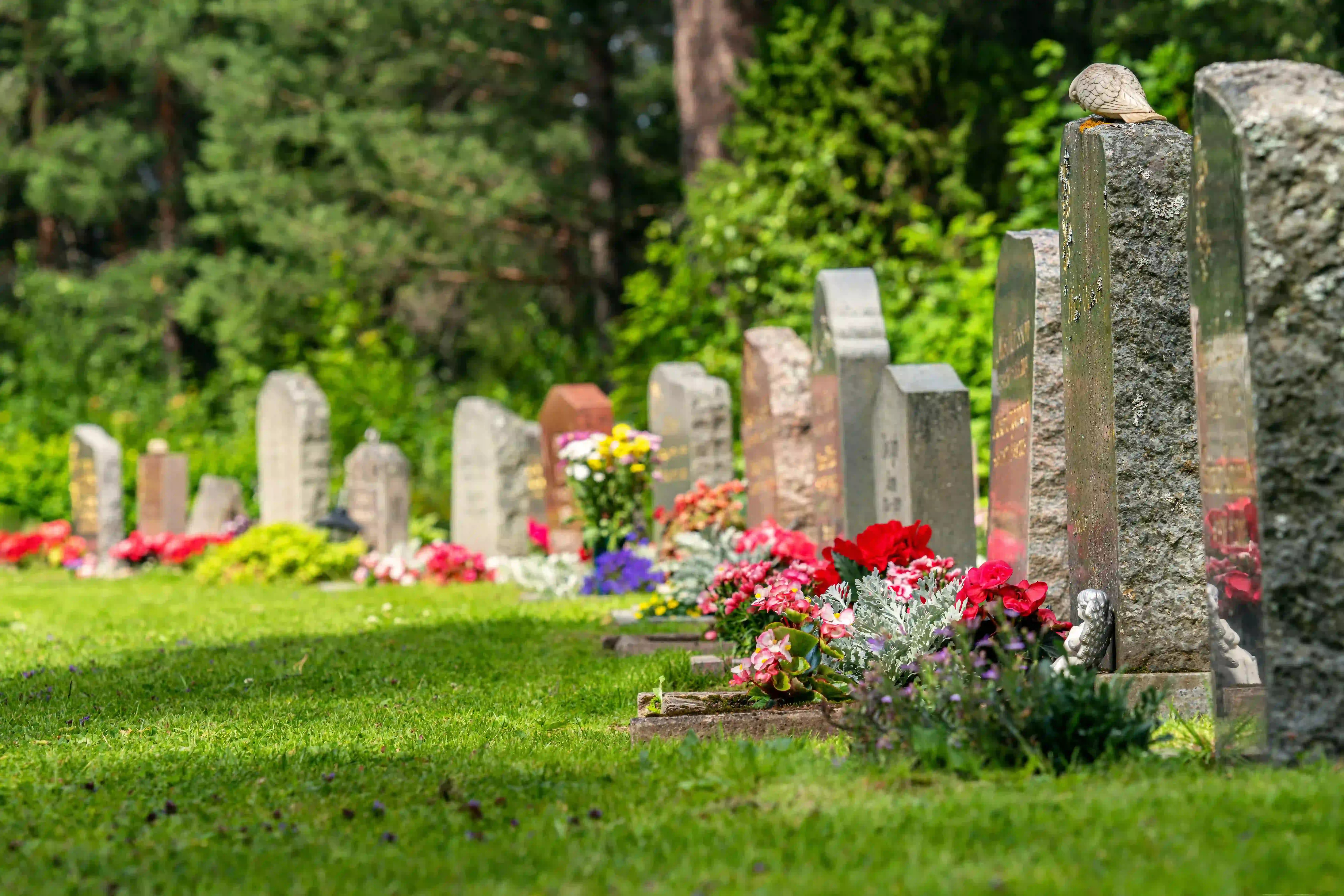 Traditional Burial Plots